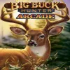 Big Buck Hunter Arcade - PlayStation 4 žaidimas