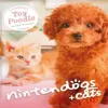 Nintendogs + Cats: Toy Poodle & New Friends - Nintendo 3DS žaidimas