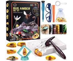 Jokomisiada Vabzdžių fosilijų gintaro archeologų rinkinys ZA4725