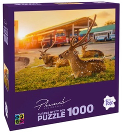 Sri Lanka Trincomalee 19911, 48.2 cm x 68.2 cm, 1000 vnt. Brain Games dėlionė