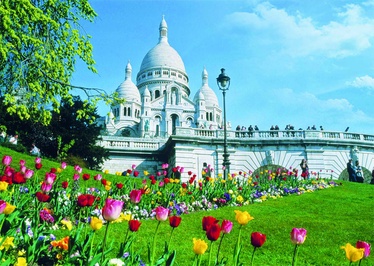 53197, 66 cm x 47 cm, 1000 vnt. Dino dėlionė