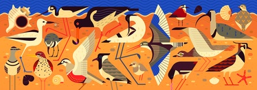 DJ07648, 1000 vnt. Djeco dėlionė