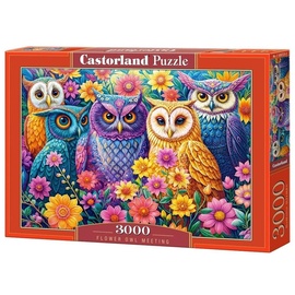 Flower Owl Meeting, 68 cm x 92 cm, 3000 vnt. Castorland dėlionė