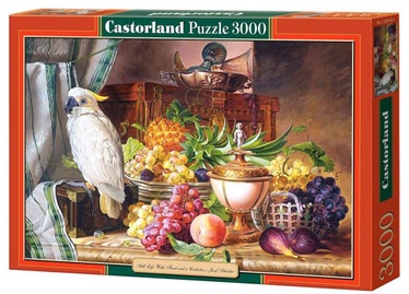 Still Life With Fruit And Cockatoo 3000 el. C-300143, 68 cm x 92 cm, 3000 vnt. Castorland dėlionė