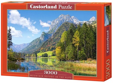 , 3000 vnt. Castorland dėlionė