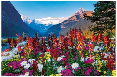 , 43 cm x 30 cm, 3000 vnt. Ravensburger dėlionė