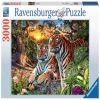 170722, 121 cm x 80 cm, 3000 vnt. Ravensburger dėlionė