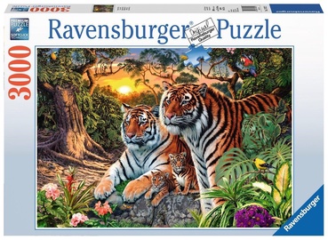 170722, 121 cm x 80 cm, 3000 vnt. Ravensburger dėlionė