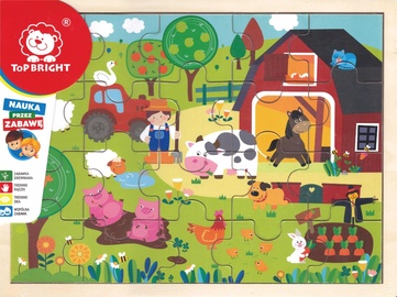 Medinė , 30 cm x 22.5 cm, 21 vnt. Top Bright dėlionė